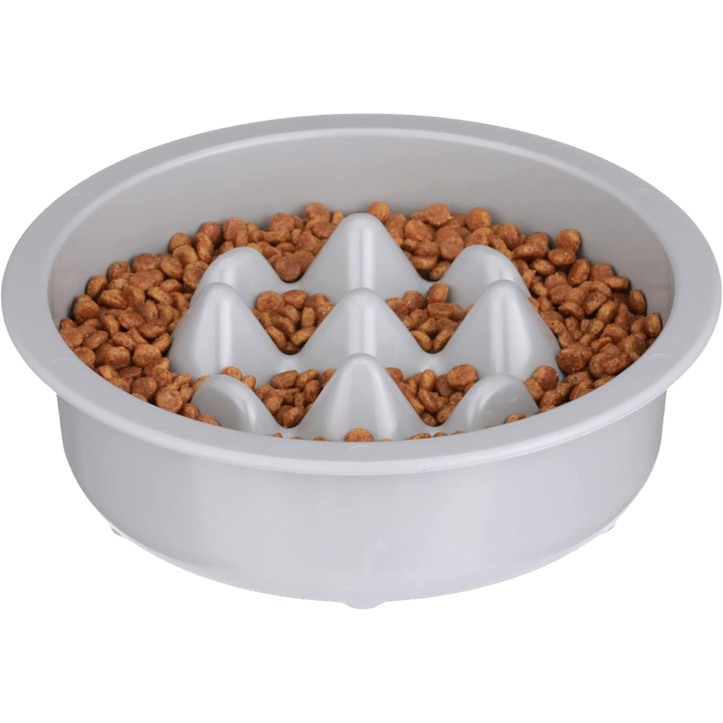 Neater Pet Brands Slow Feeder Bowl