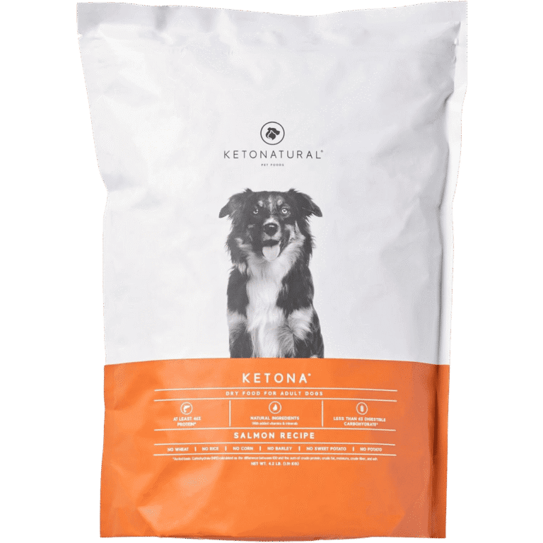 Ketona Salmon Recipe Adult Dry Dog Food